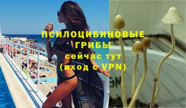 гидропоника Абинск